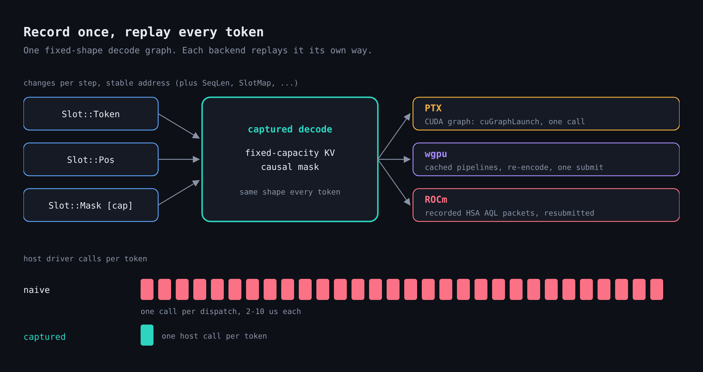 Per-token slots feeding one captured decode graph, replayed by the PTX, wgpu and ROCm backends